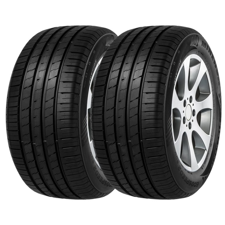 لاستیک خودرو  بی ام و لاستیک خودرو مینروا مدل Ecospeed2 سایز 295/35/21 - دو حلقه مکمل سوخت و روغن خودرو bmw
