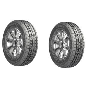 لاستیک خودرو  بی ام و لاستیک خودرو بارز مدل P648 سایز 185/65R14 - دو حلقه مکمل سوخت و روغن خودرو bmw