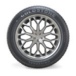 لاستیک خودرو  بی ام و لاستیک خودرو گلدستون مدل GS2030 سایز 165/65R13 - دو حلقه مکمل سوخت و روغن خودرو bmw