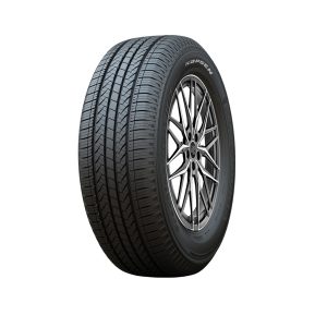 لاستیک خودرو  بی ام و لاستیک خودرو کاپسن مدل RS21 سایز 245/60R18 -یک حلقه مکمل سوخت و روغن خودرو bmw