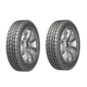 لاستیک خودرو  بی ام و لاستیک خودرو بارز مدل P648 سایز 165/65R13 - دو حلقه مکمل سوخت و روغن خودرو bmw